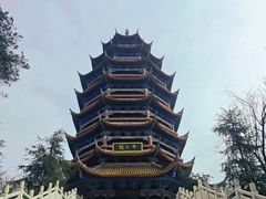 -铁山坪森林公园