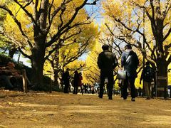 -成都濑川外国语学校