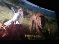 -金逸影城(中关村店)