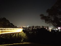 -飞凤山奥体公园