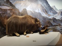 -陕西自然博物馆