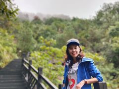 -铁山坪森林公园