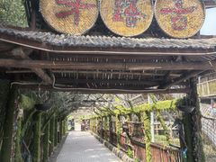 -呀路古热带植物园