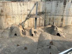 -无锡动物园·太湖欢乐园