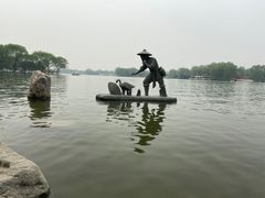-石家庄市植物园