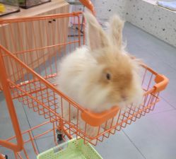 -Moni星球萌宠·小马宝莉·灵蛇·高端高阶全萌宠互动体验俱乐部(红豆国际广场店)