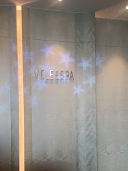 -VELEE·SPA高定疗愈会所