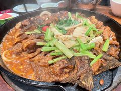 -老板恋上鱼(振华商厦店)