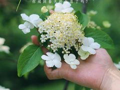 -荆川公园