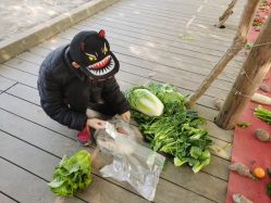 -前小桔亲子创意农场·草莓采摘·露营烧烤