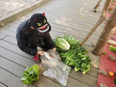 -前小桔亲子创意农场·草莓采摘·露营烧烤