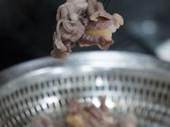 -五洲牛肉美食馆