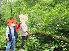 -茅兰沟国家森林公园