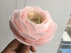 -美斯烘焙培训学院•蛋糕•面包•咖啡(宝安校区)