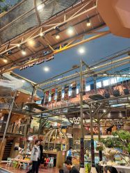 -卡通尼·Safari非洲探索乐园·生日会(金桥国际商业广场店)