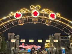 -武汉知音号