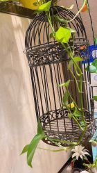 -Oasis Beauty水磨坊科技美肤中心