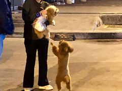 -人民公园(罗湖区)