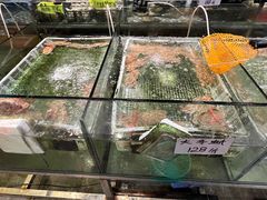 -龚记海鲜20年老字号