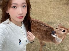 -盈香心动乐园