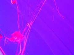 -多彩贵州城极地海洋世界