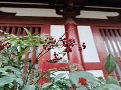 -华清宫景区