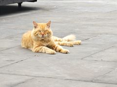 -乐山大佛风景名胜区乌尤寺南门-售票点