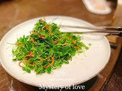 -海派悦庭·海胆烧麦·新融合菜(凯德广场店)