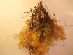 -Ginko银子(青龙街店)