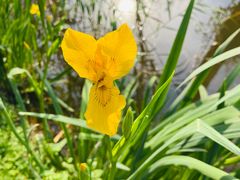 -青州市云门山风景区
