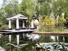 -郑东新区湿地公园