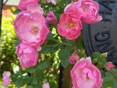 -上海市控江中学