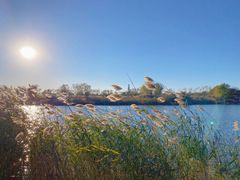 -大兴滨河森林公园