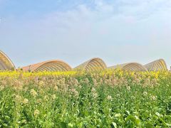 -中国天府农业博览园