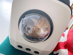 -太原东方动物医院(小店分院)