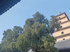 -大慈恩寺(大雁塔)