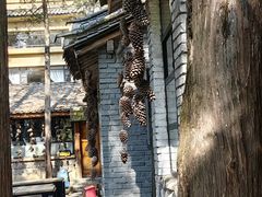 -寂照庵