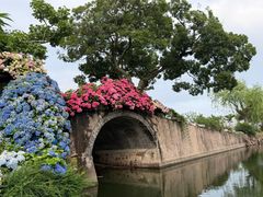 -无锡蠡湖国家湿地公园-蠡园
