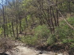 -香炉山国家森林公园