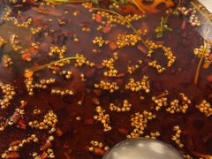 -味之绝热血美蛙鱼火锅(中坝店)