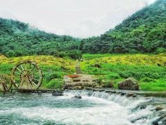 -广州市石门国家森林公园