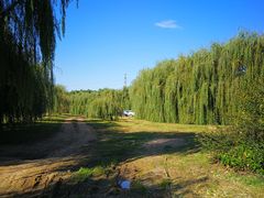 -东坝千亩湖公园