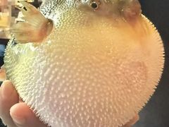 -永安鱼庄·镇江菜(东吴路店)