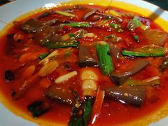 泡椒鸭血-雲蜀龙阁·金牌水煮鱼(方庄店)