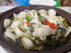 -石饮红星包子(中山路店)