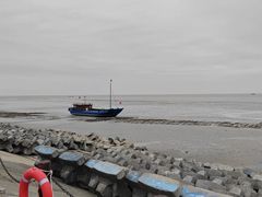 -黄海国家森林公园