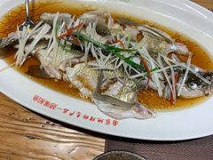 清蒸翘嘴鱼白-丹江渔村(首都机场店)