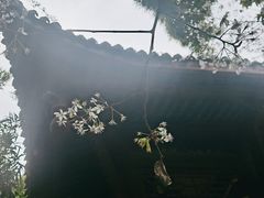 -望江楼公园