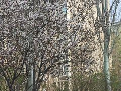 -田村(地铁站)