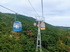 -摩天岭风景区
